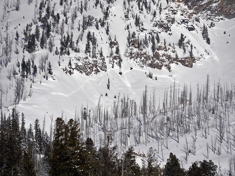 Natural Avalanche Cooke City Natural Avalanche Cooke City