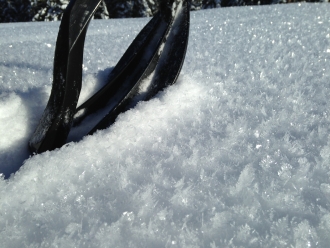 Surface Hoar near West Yellowstone